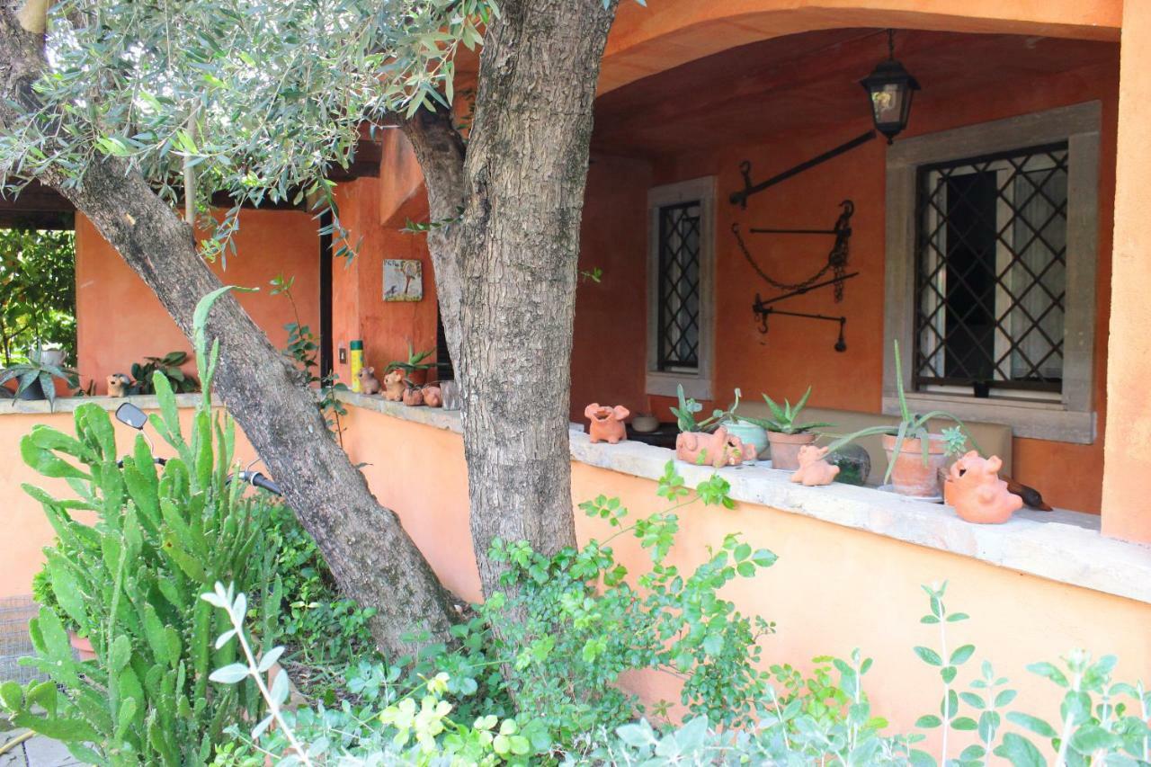 B&B Country Lemon Santa Marta Exteriör bild